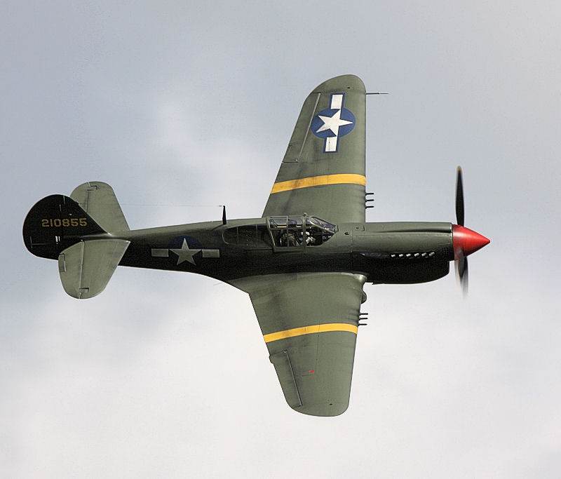  - Warbird