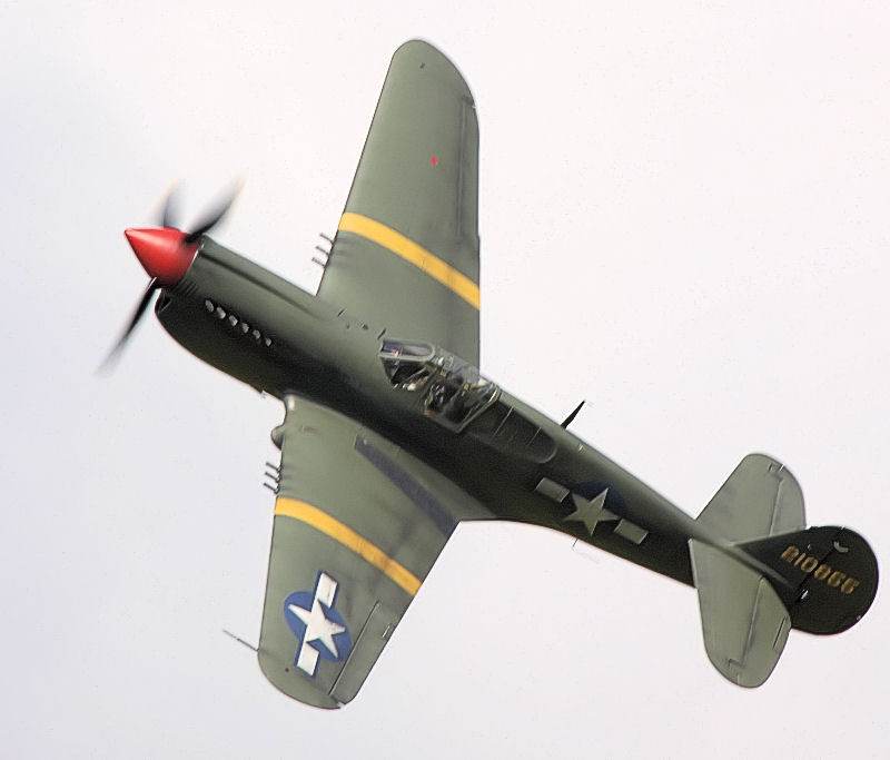 - Warbird