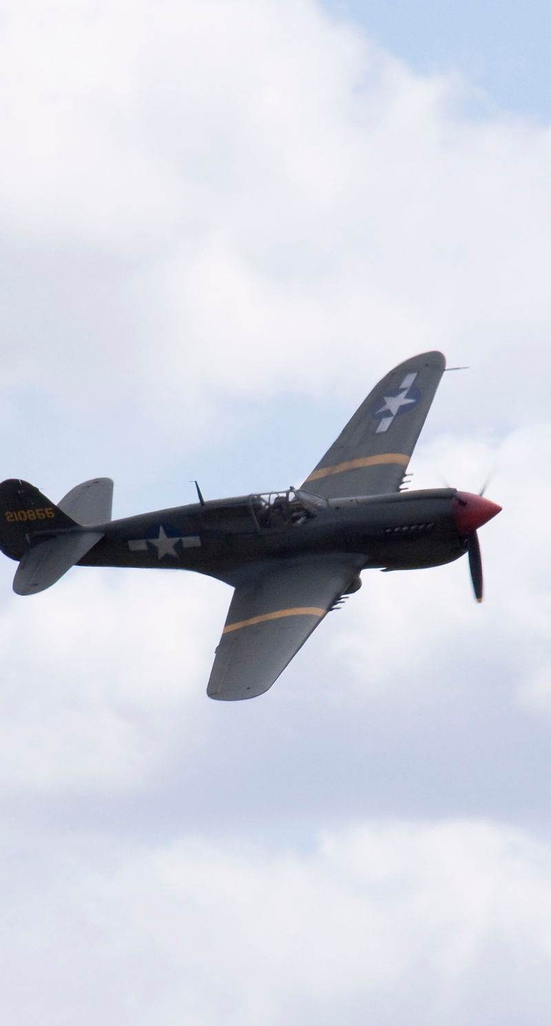  - Warbird