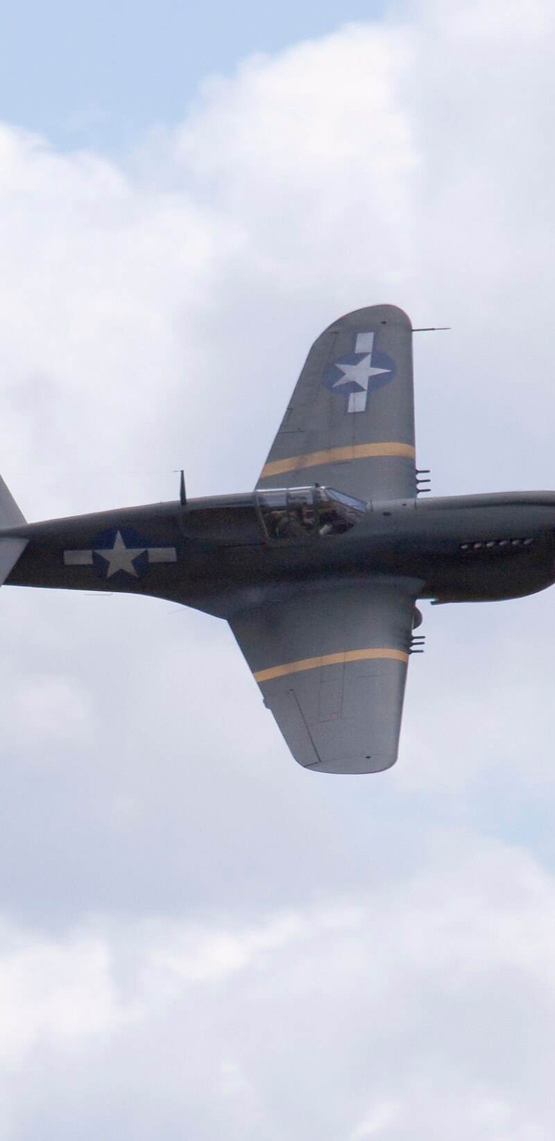  - Warbird