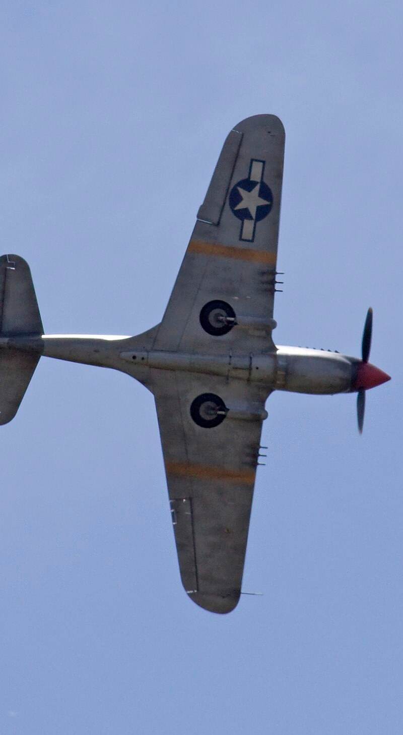  - Warbird