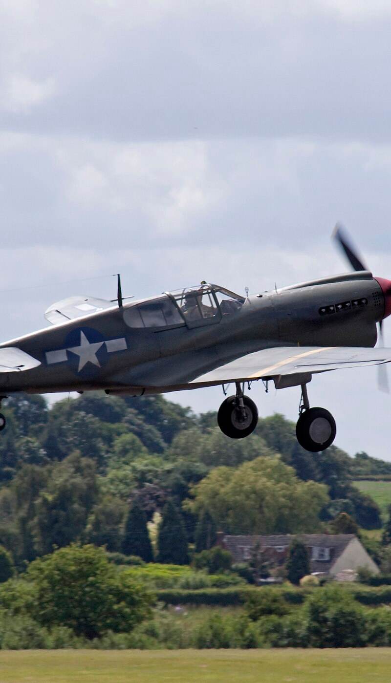  - Warbird
