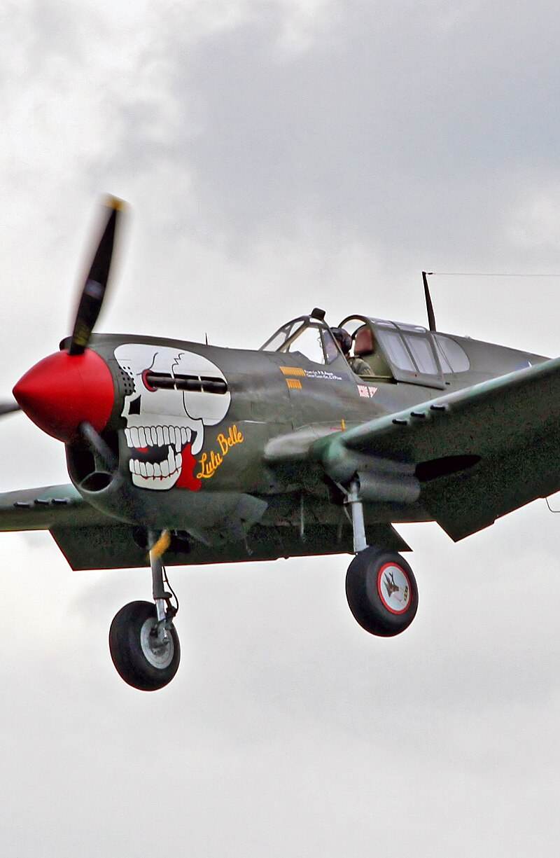  - Warbird