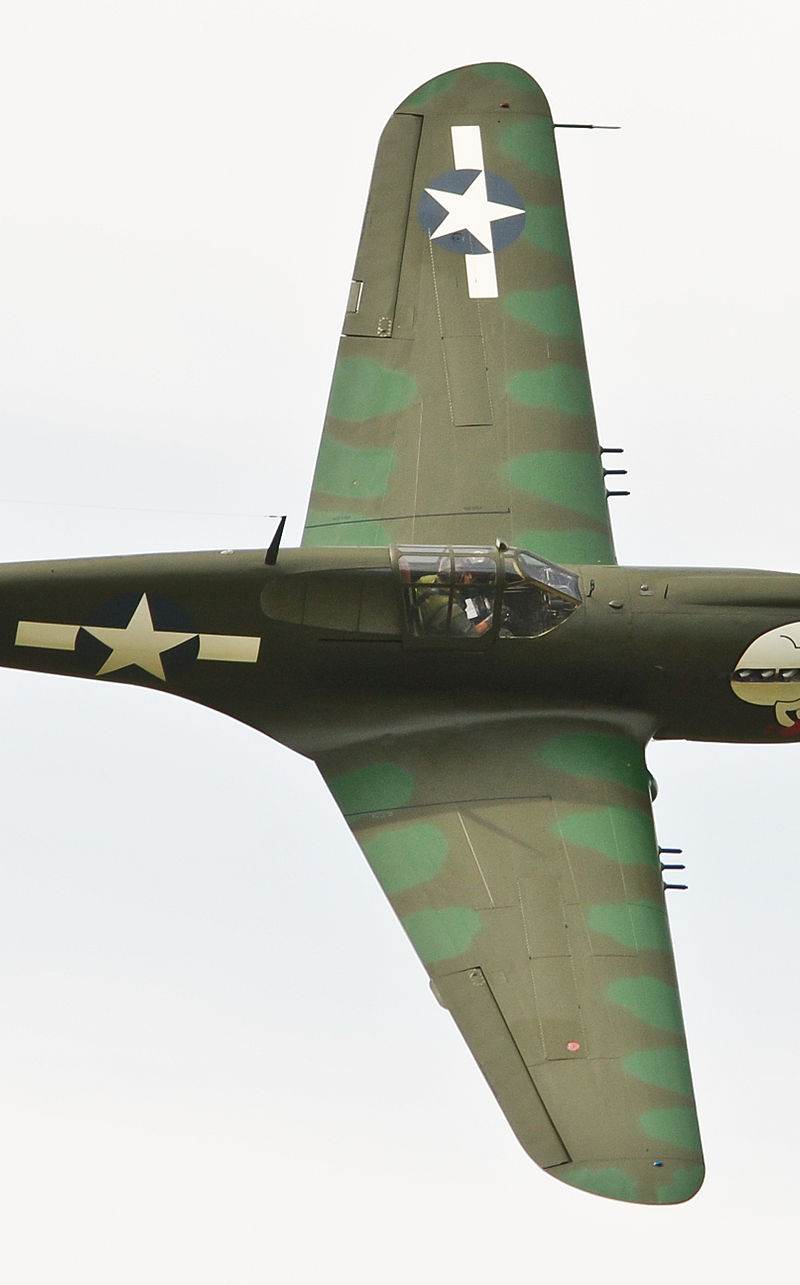  - Warbird