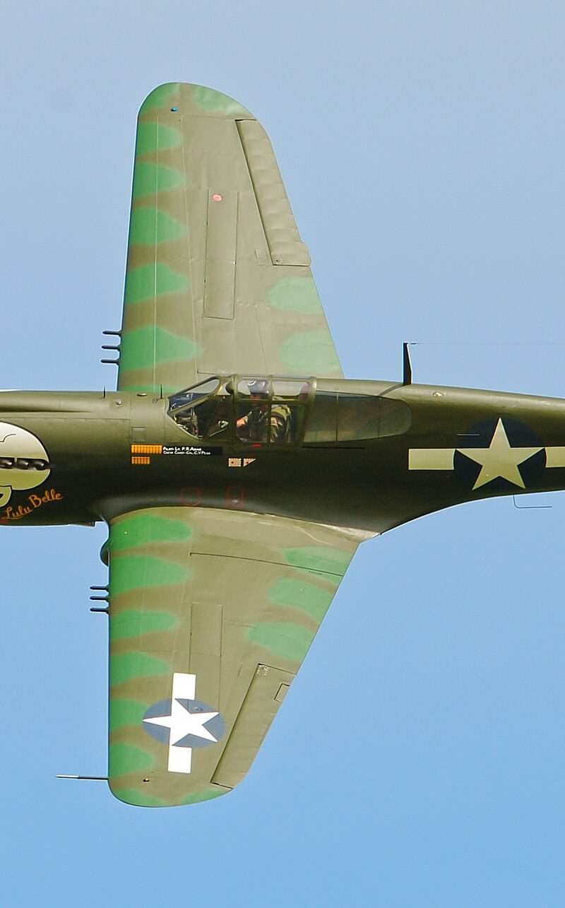 - Warbird