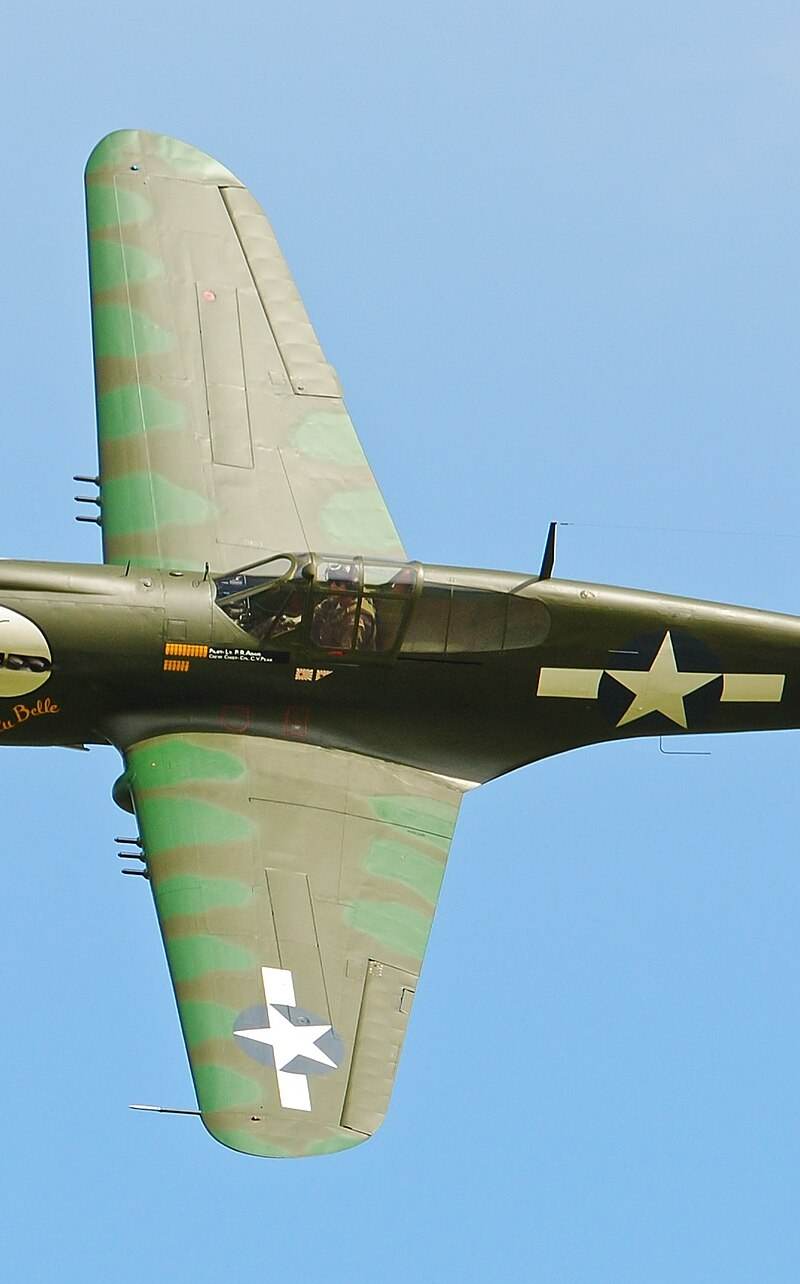  - Warbird