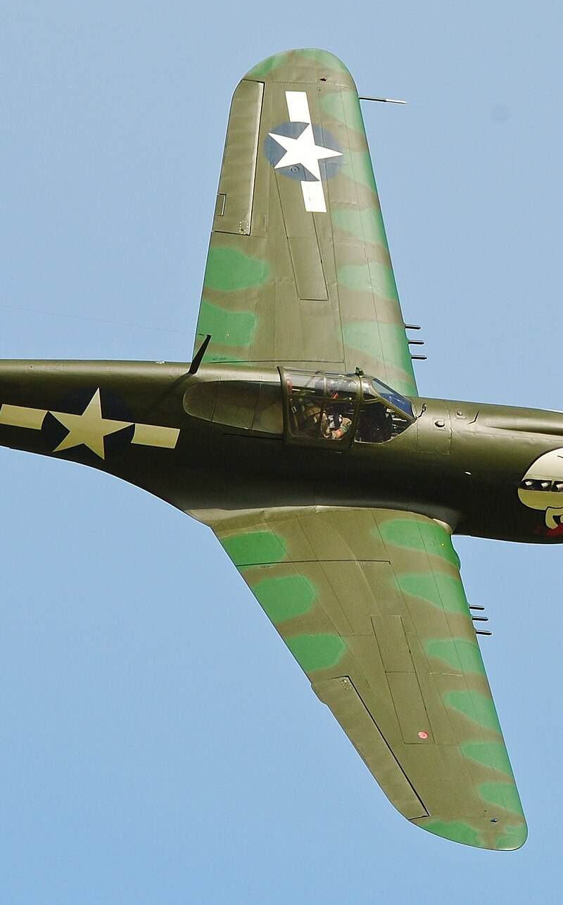  - Warbird