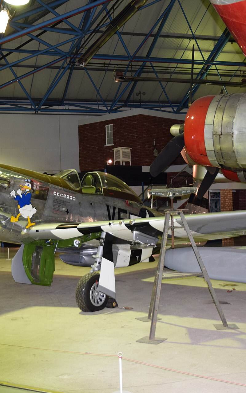  - Warbird