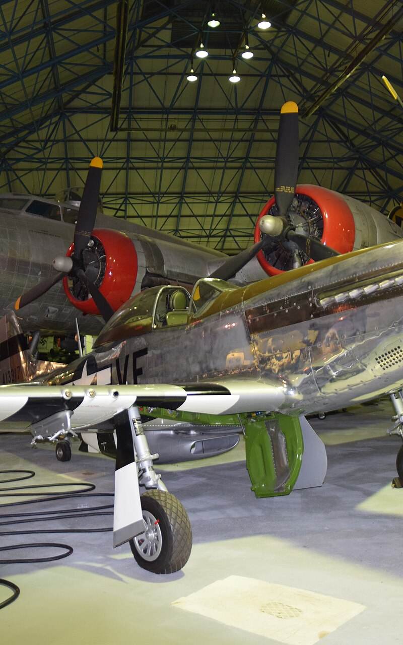  - Warbird