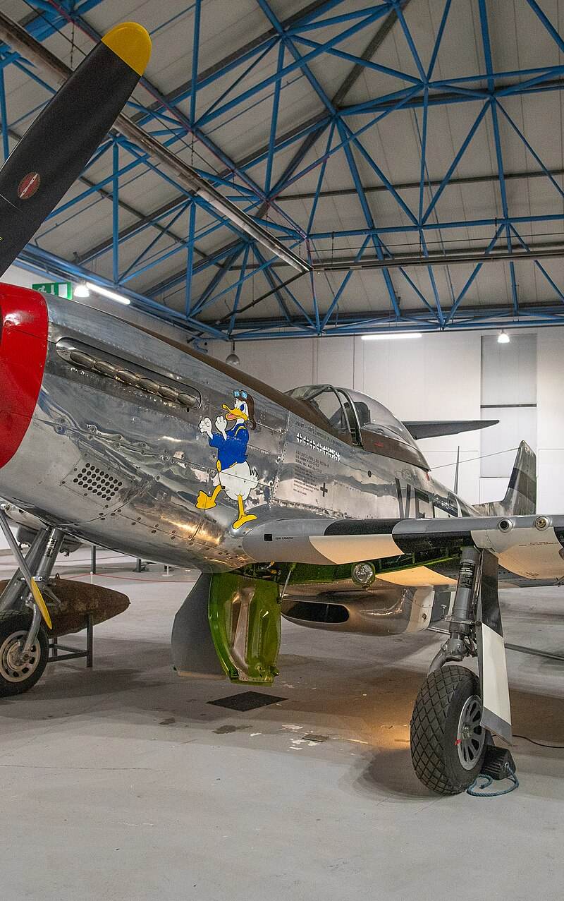  - Warbird