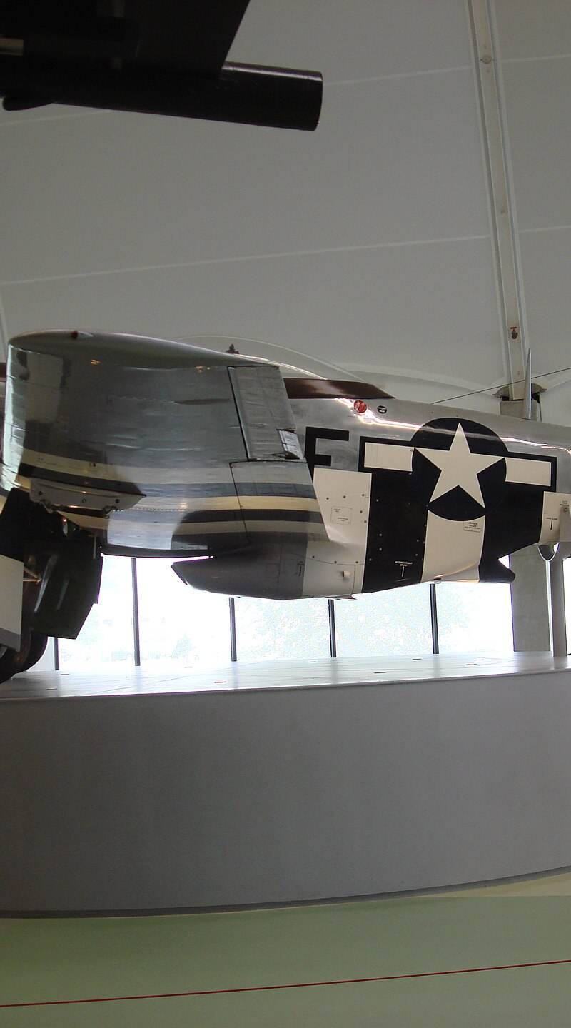  - Warbird