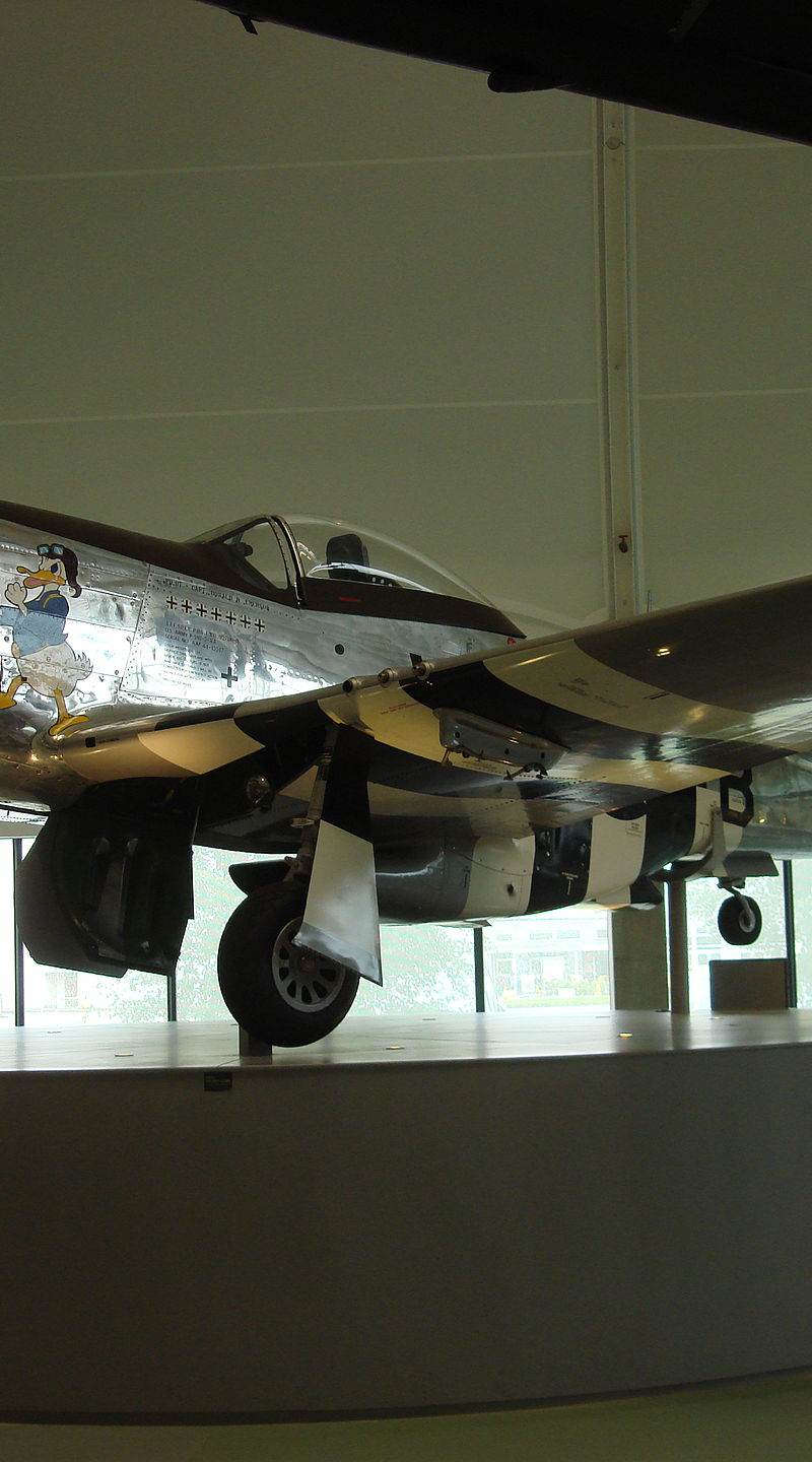  - Warbird