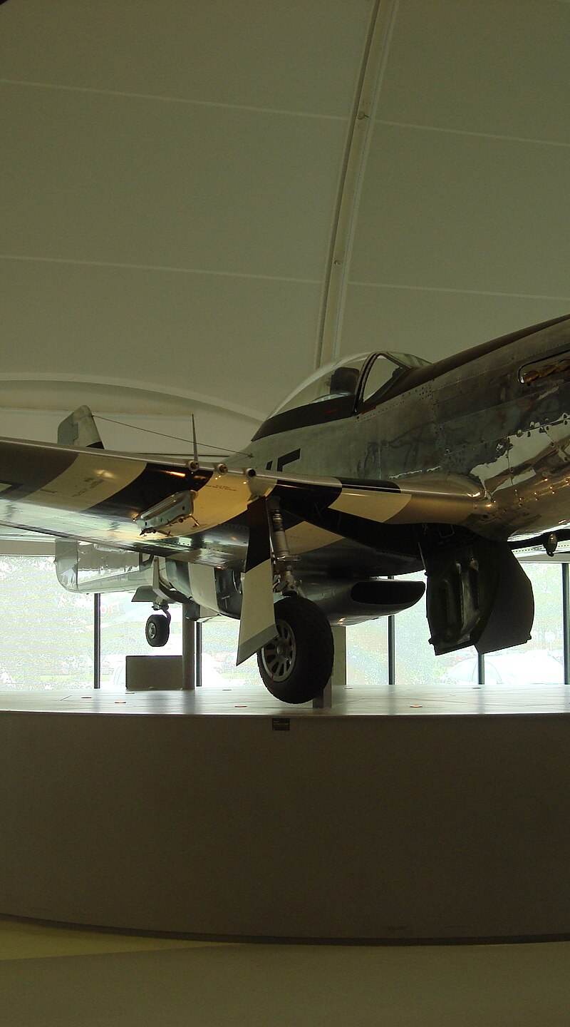  - Warbird