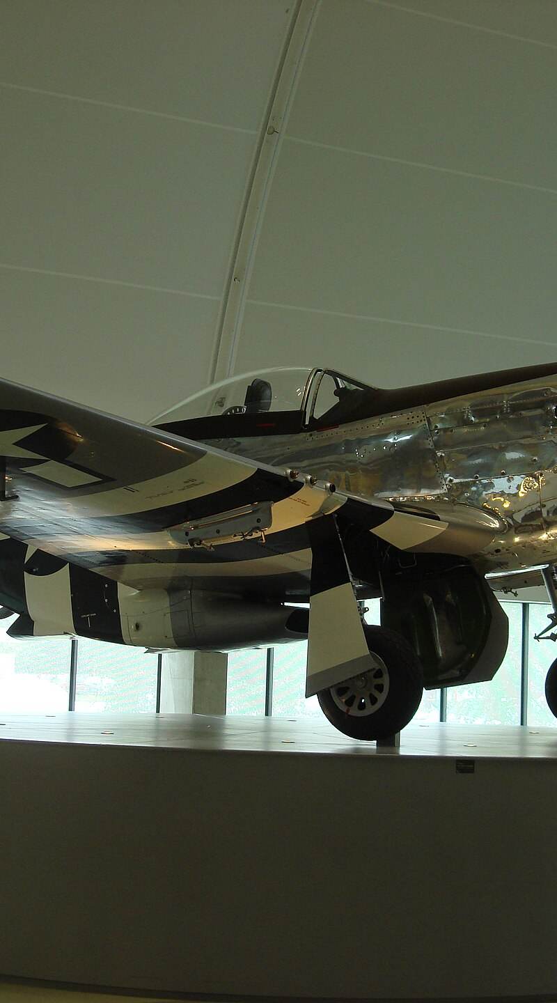  - Warbird