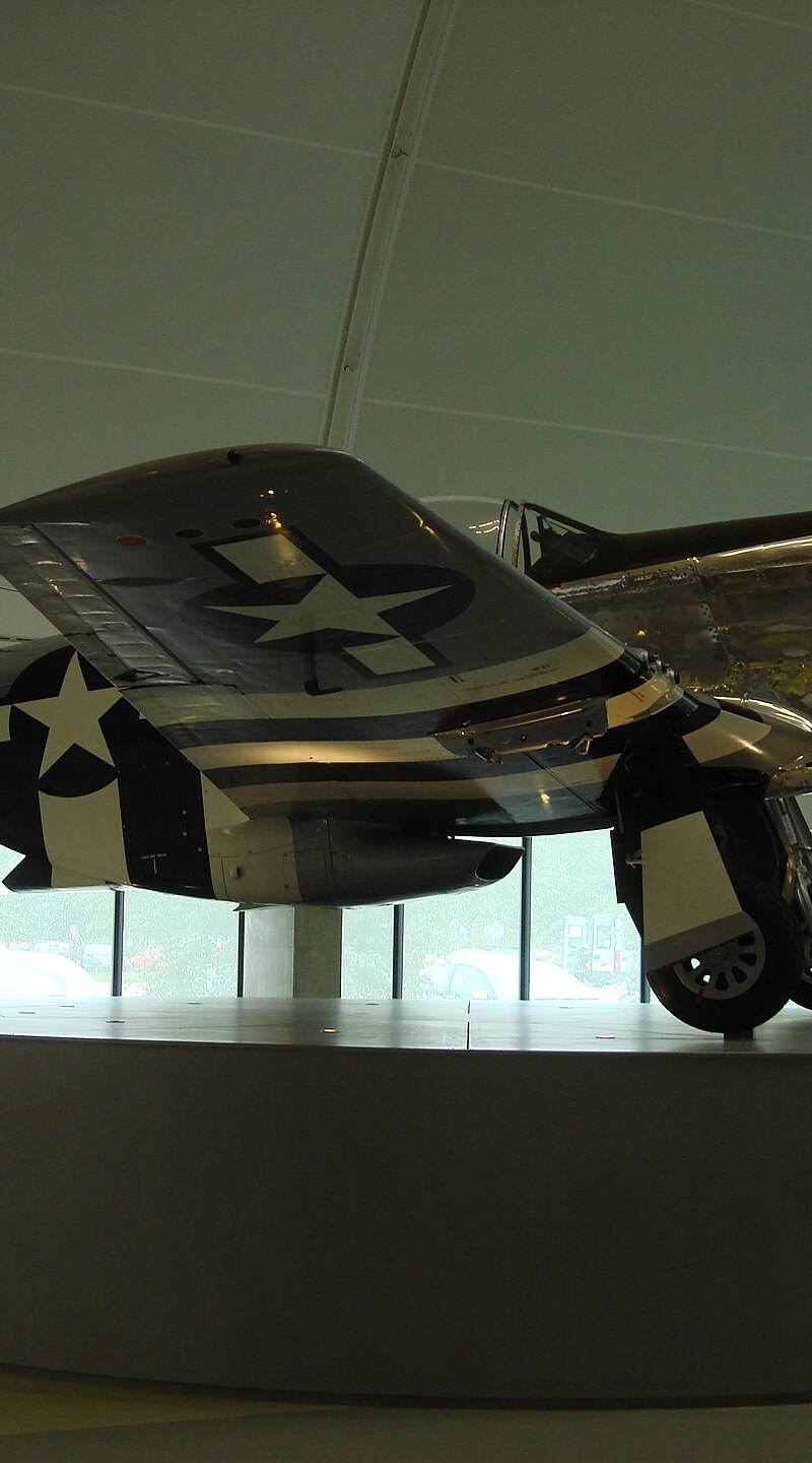  - Warbird