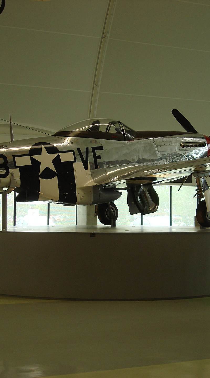  - Warbird