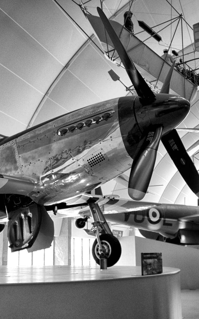  - Warbird