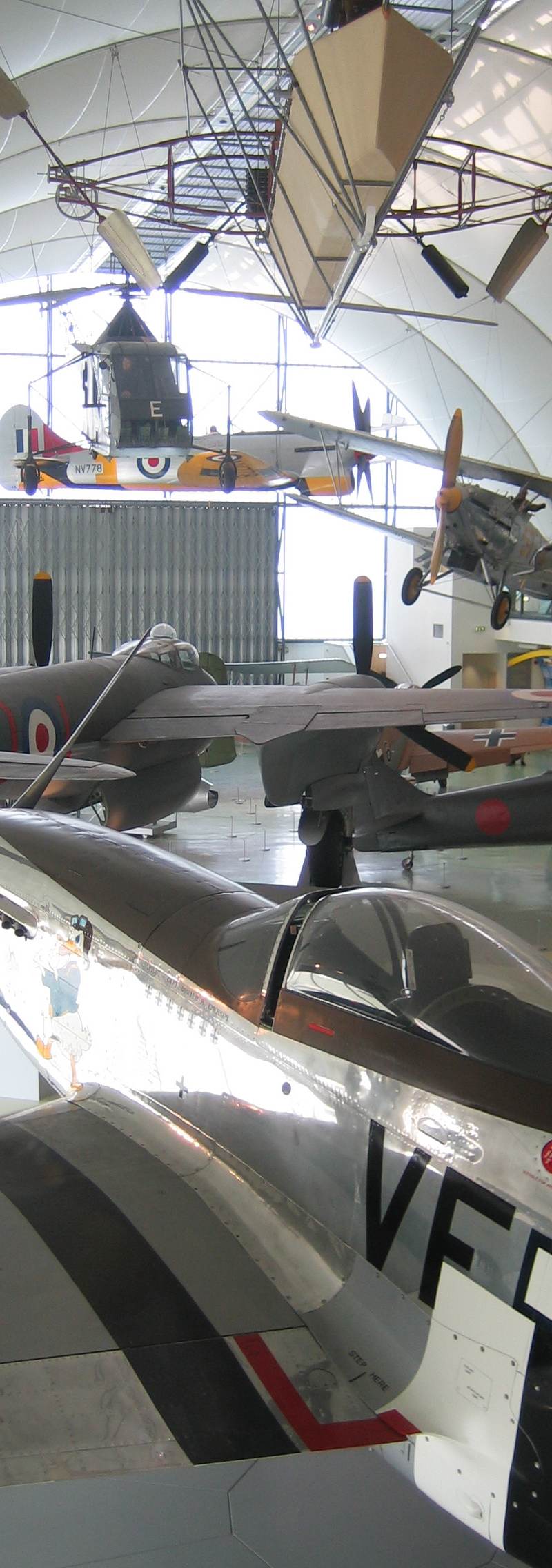  - Warbird
