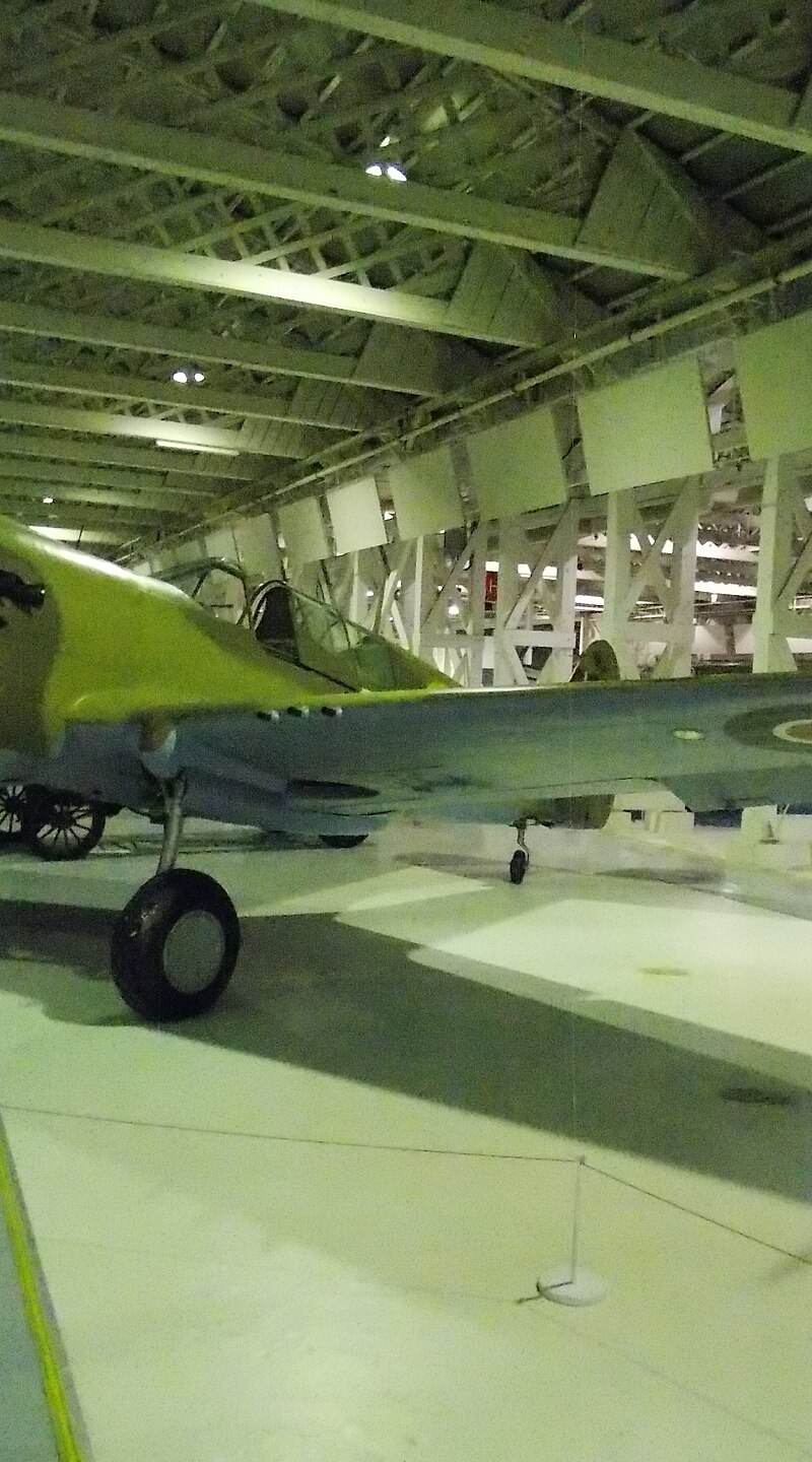  - Warbird
