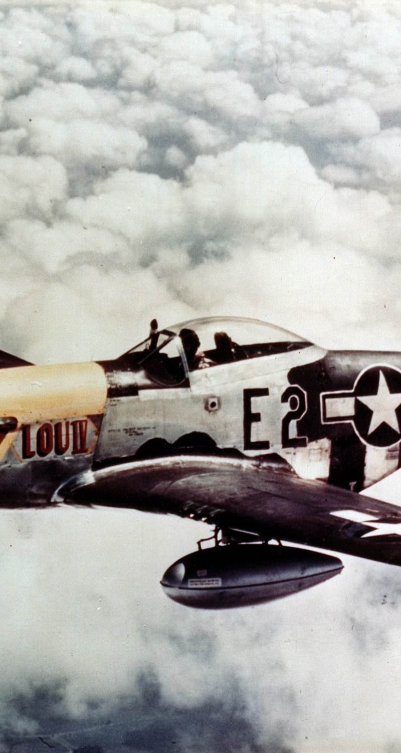  - Warbird