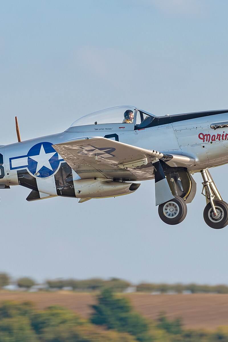  - Warbird