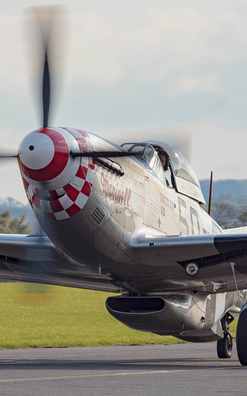  - Warbird