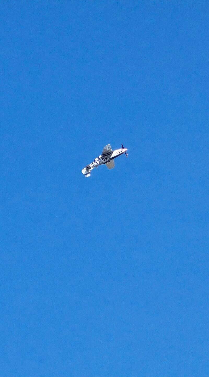  - Warbird