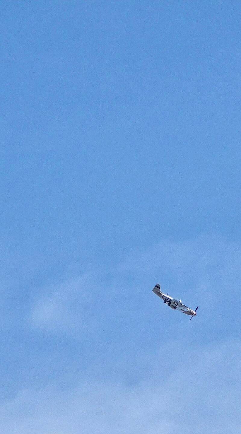  - Warbird