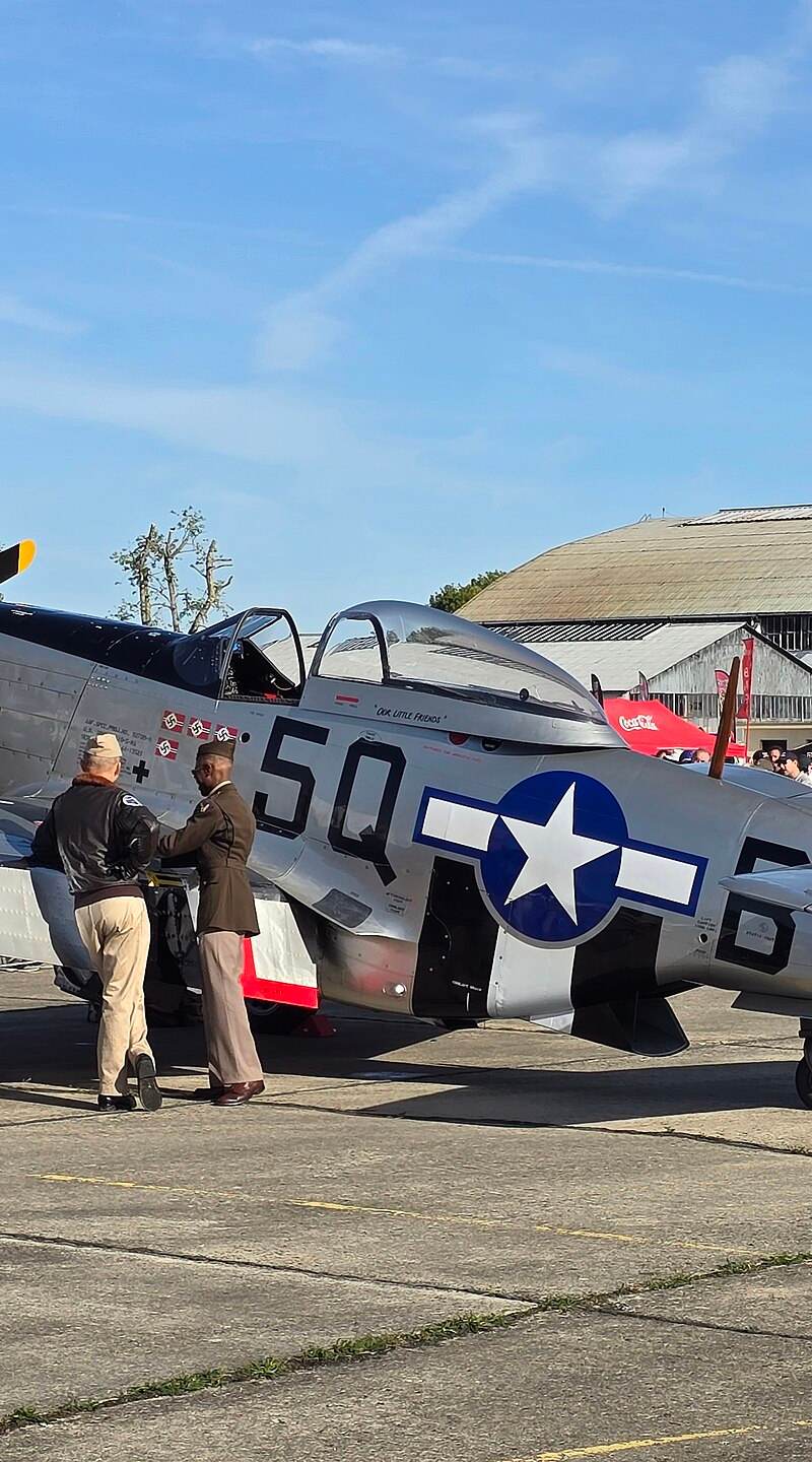  - Warbird