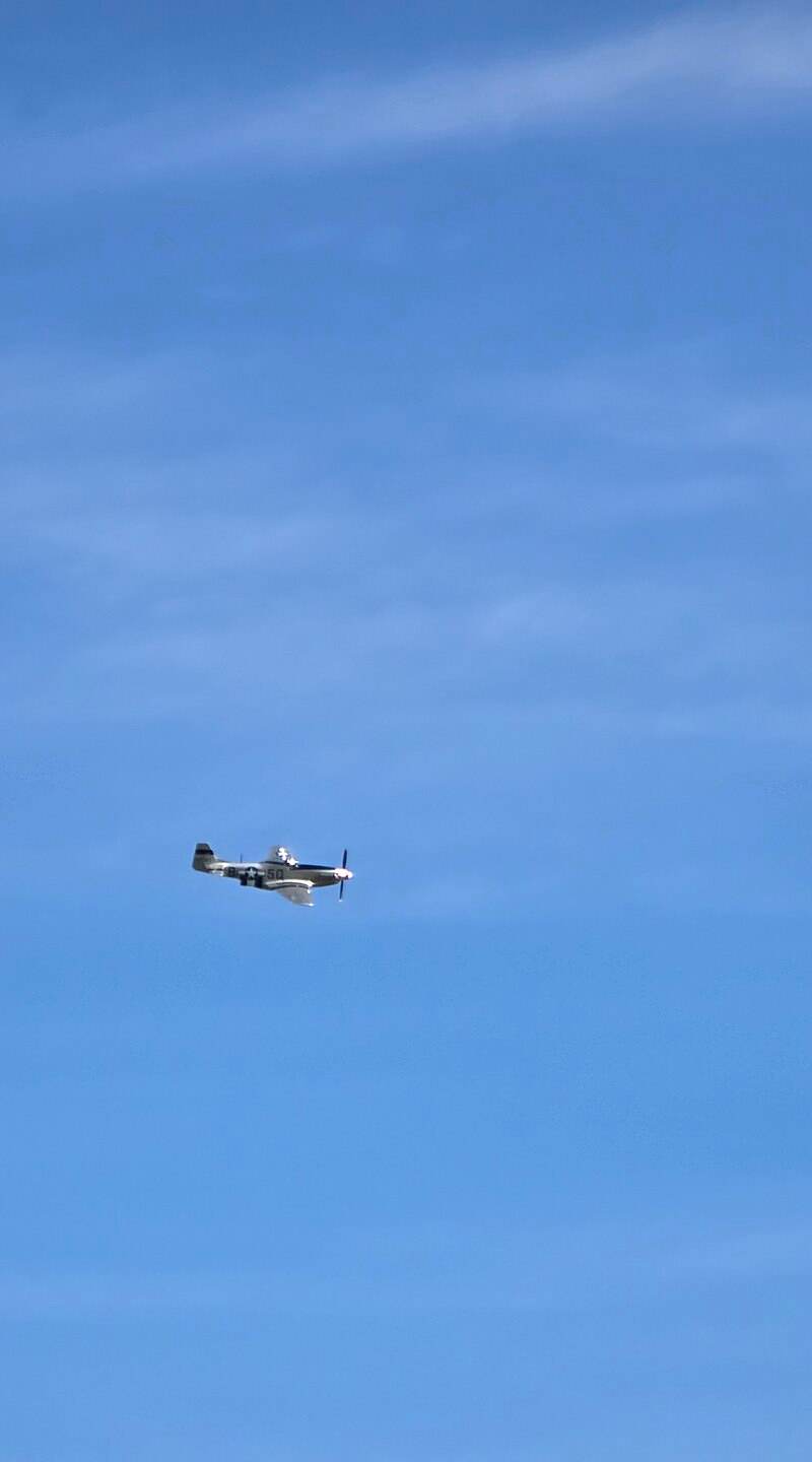  - Warbird