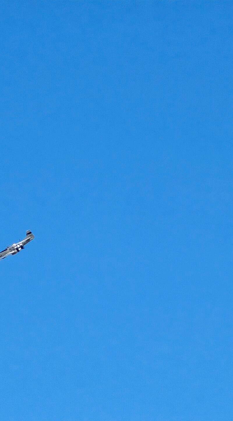  - Warbird