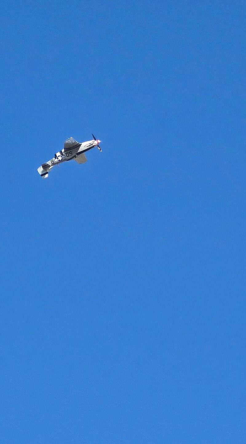  - Warbird