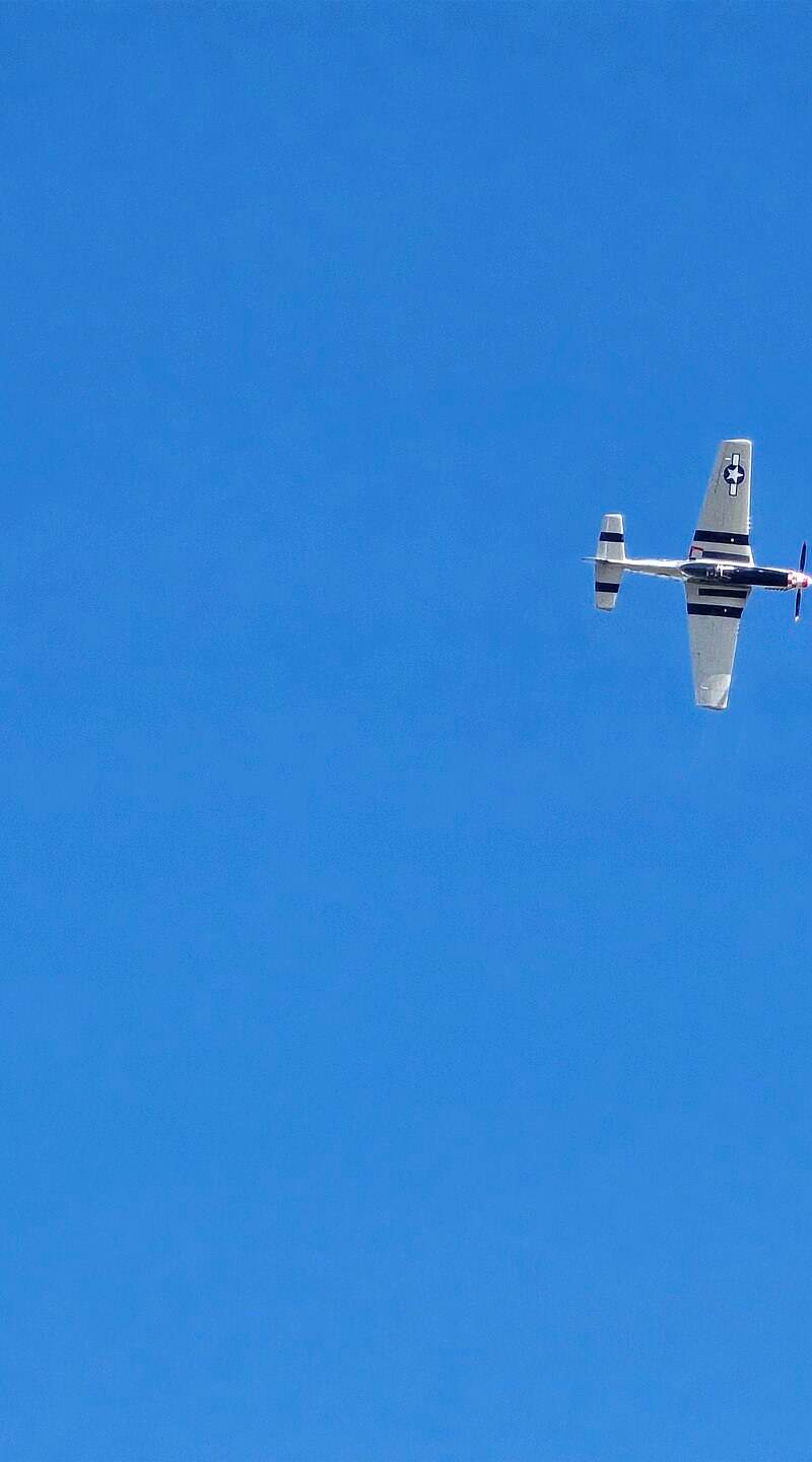  - Warbird