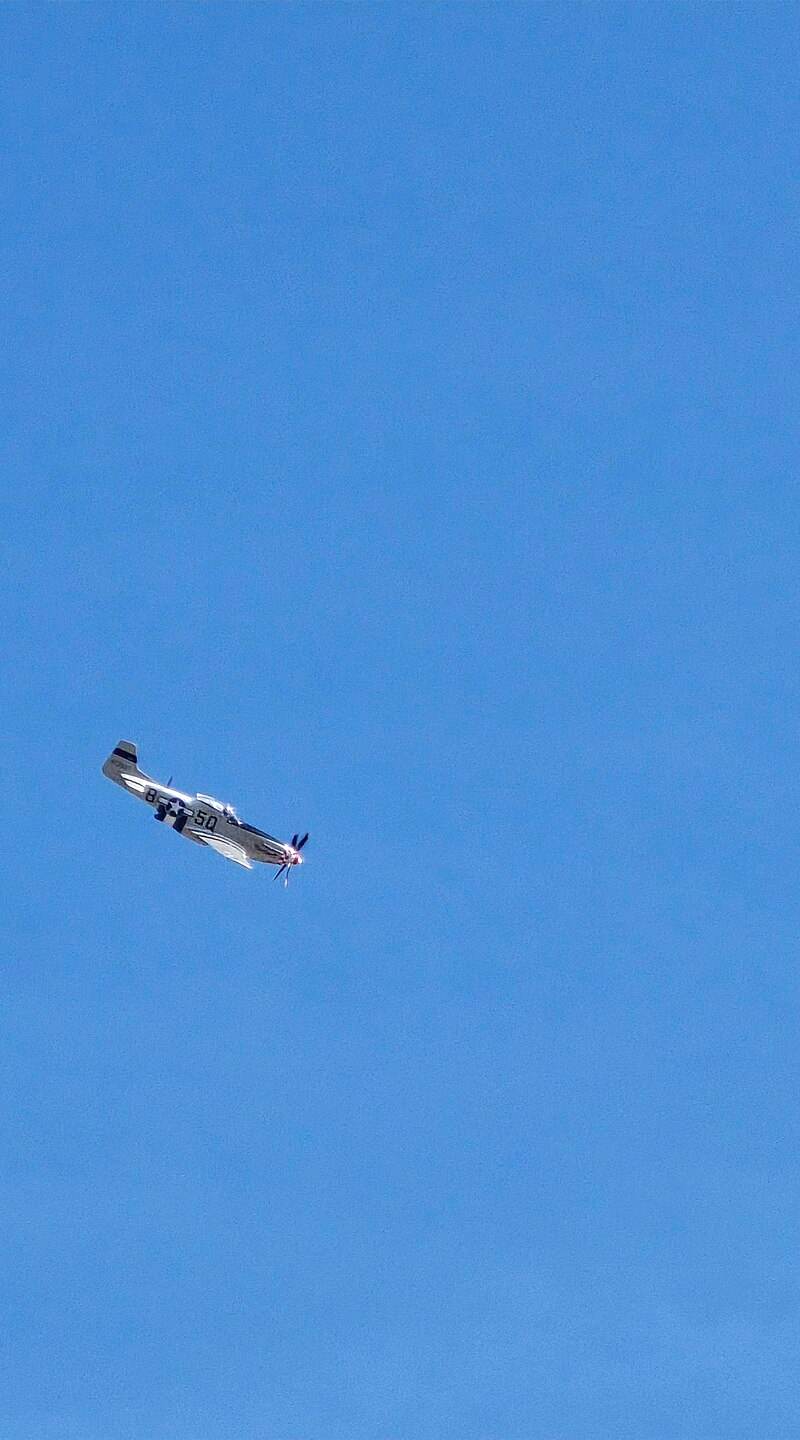  - Warbird