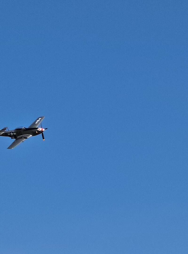  - Warbird