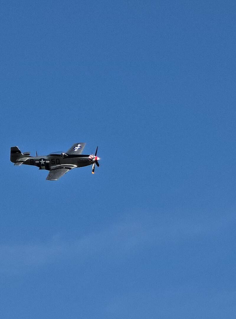  - Warbird