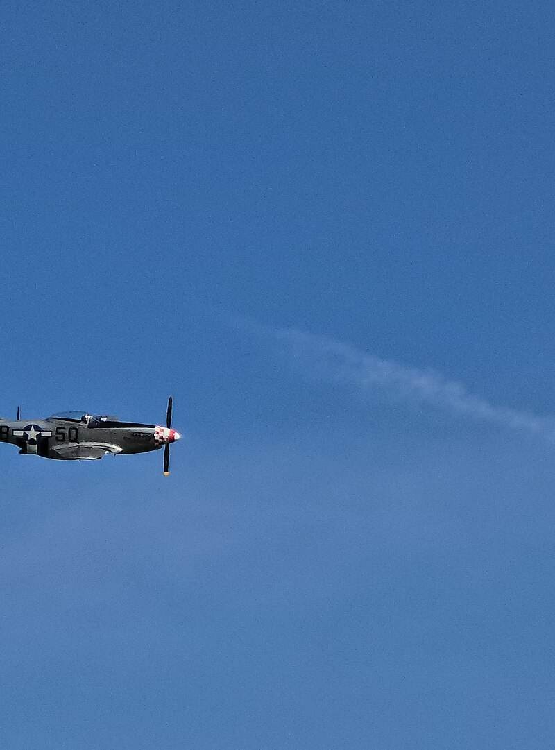  - Warbird