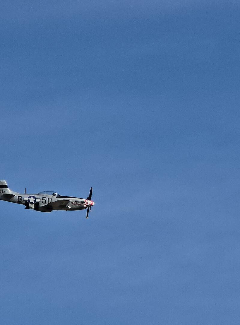  - Warbird