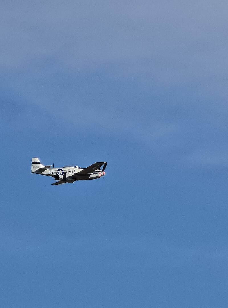  - Warbird