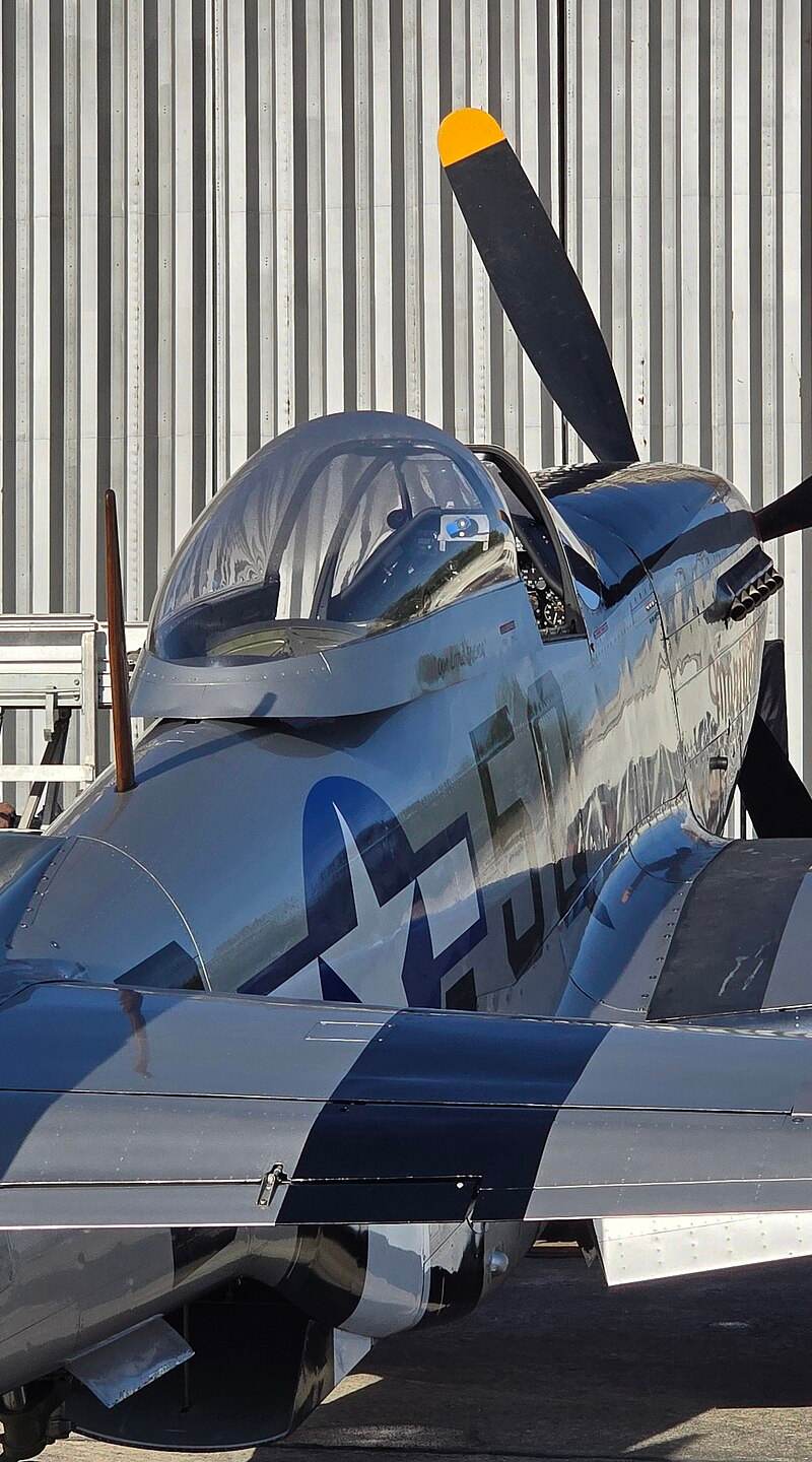  - Warbird