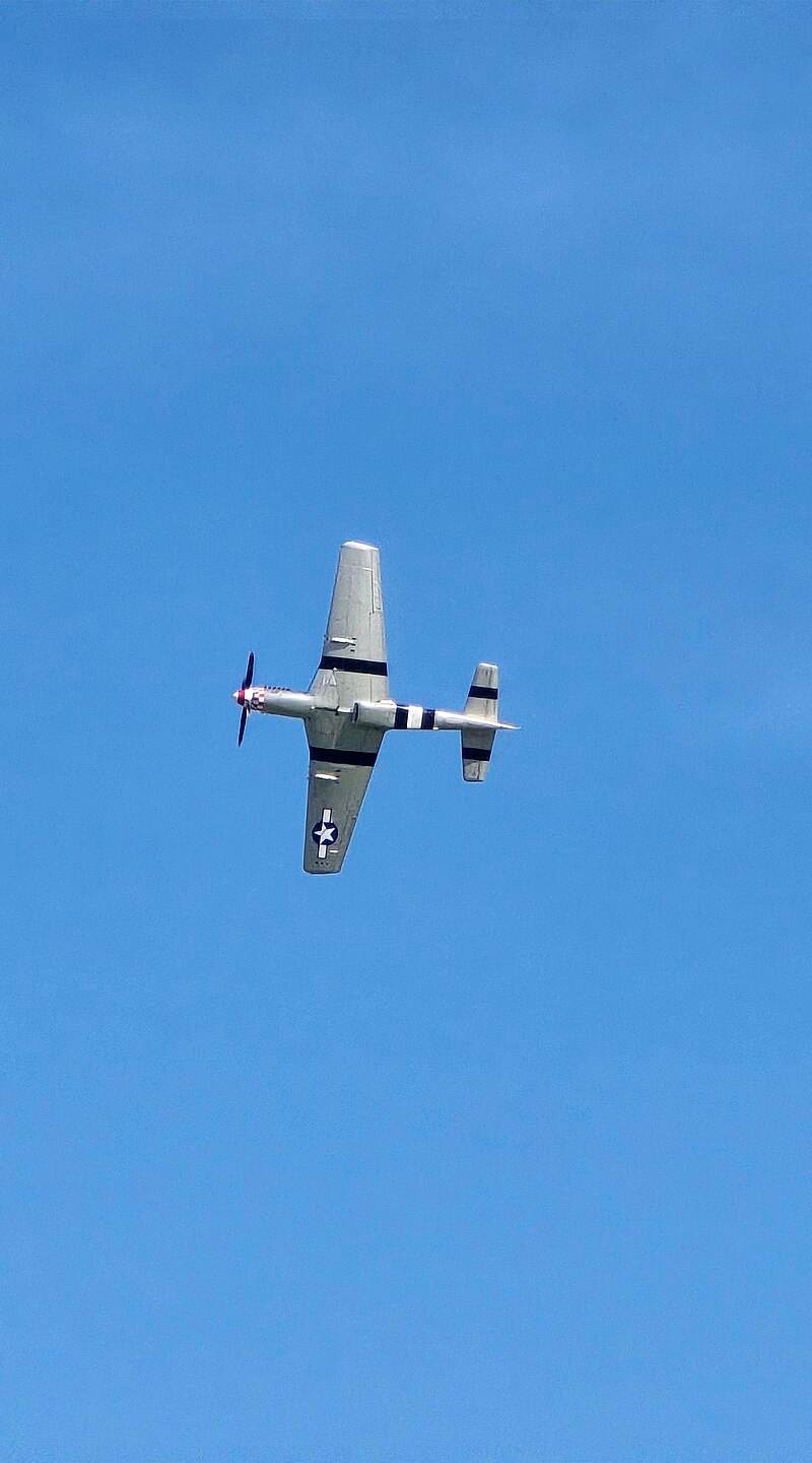  - Warbird