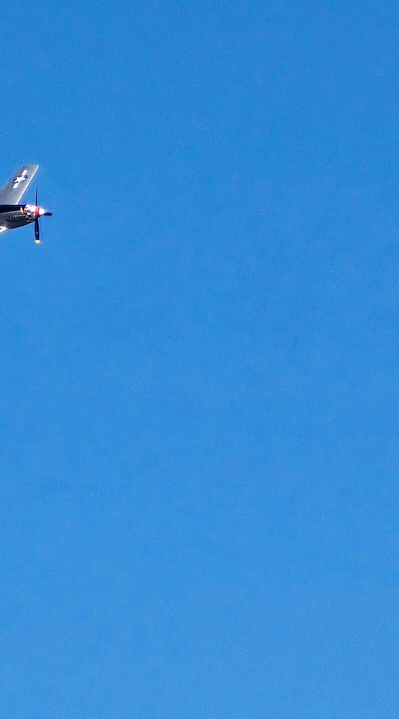  - Warbird