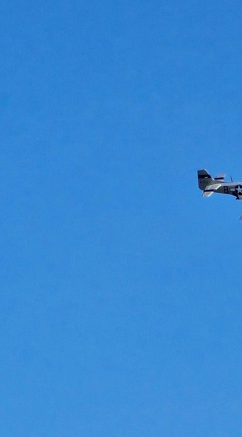  - Warbird