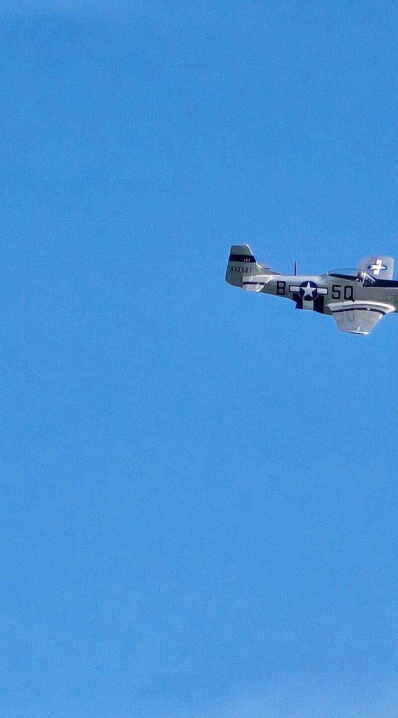  - Warbird
