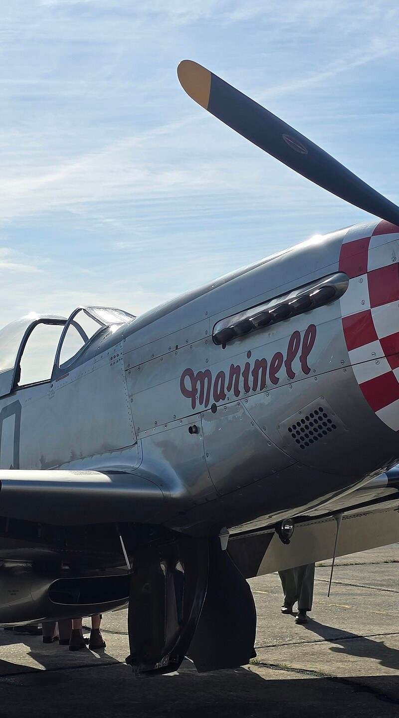  - Warbird