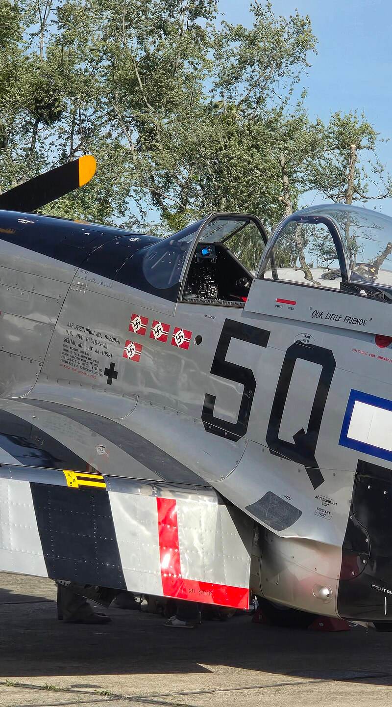 - Warbird