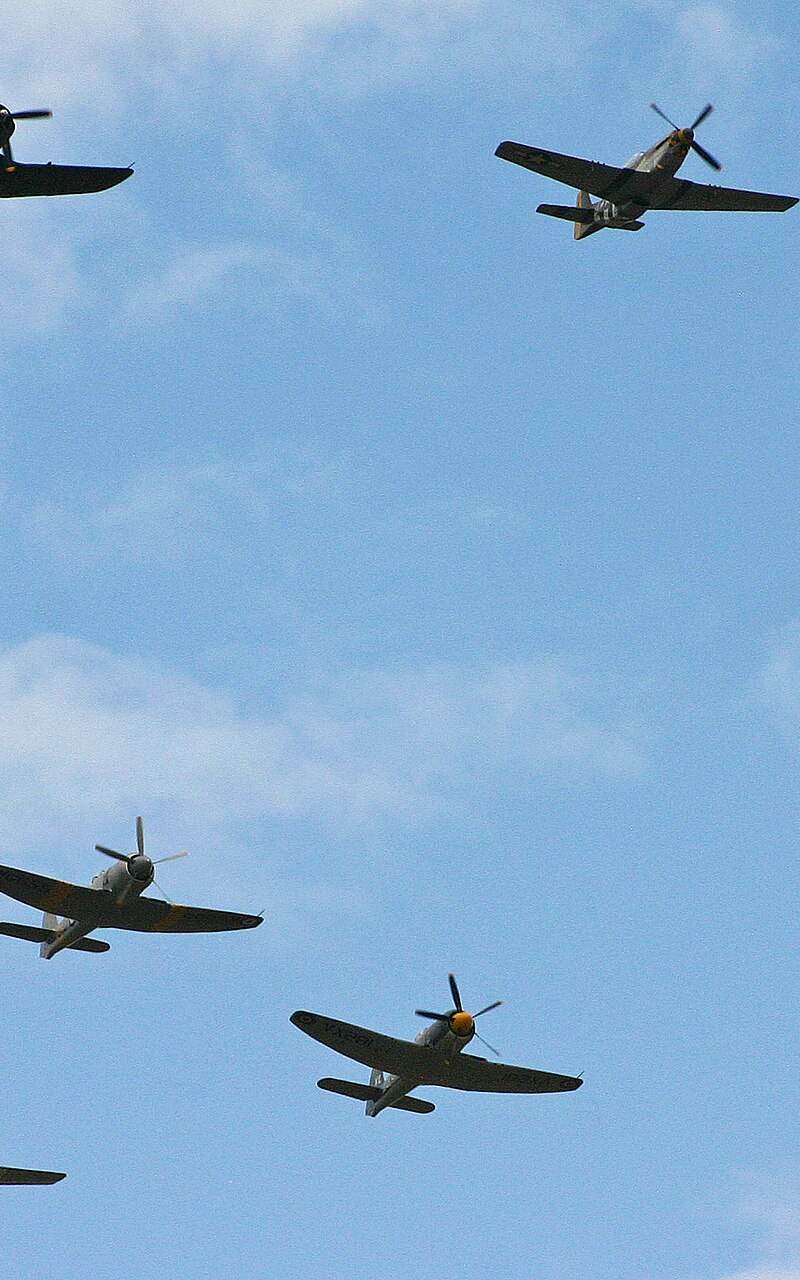  - Warbird