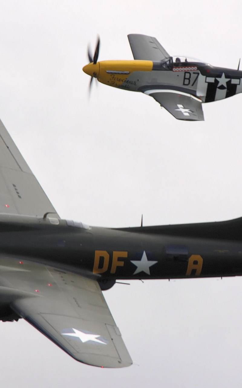  - Warbird