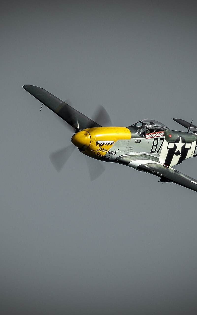  - Warbird
