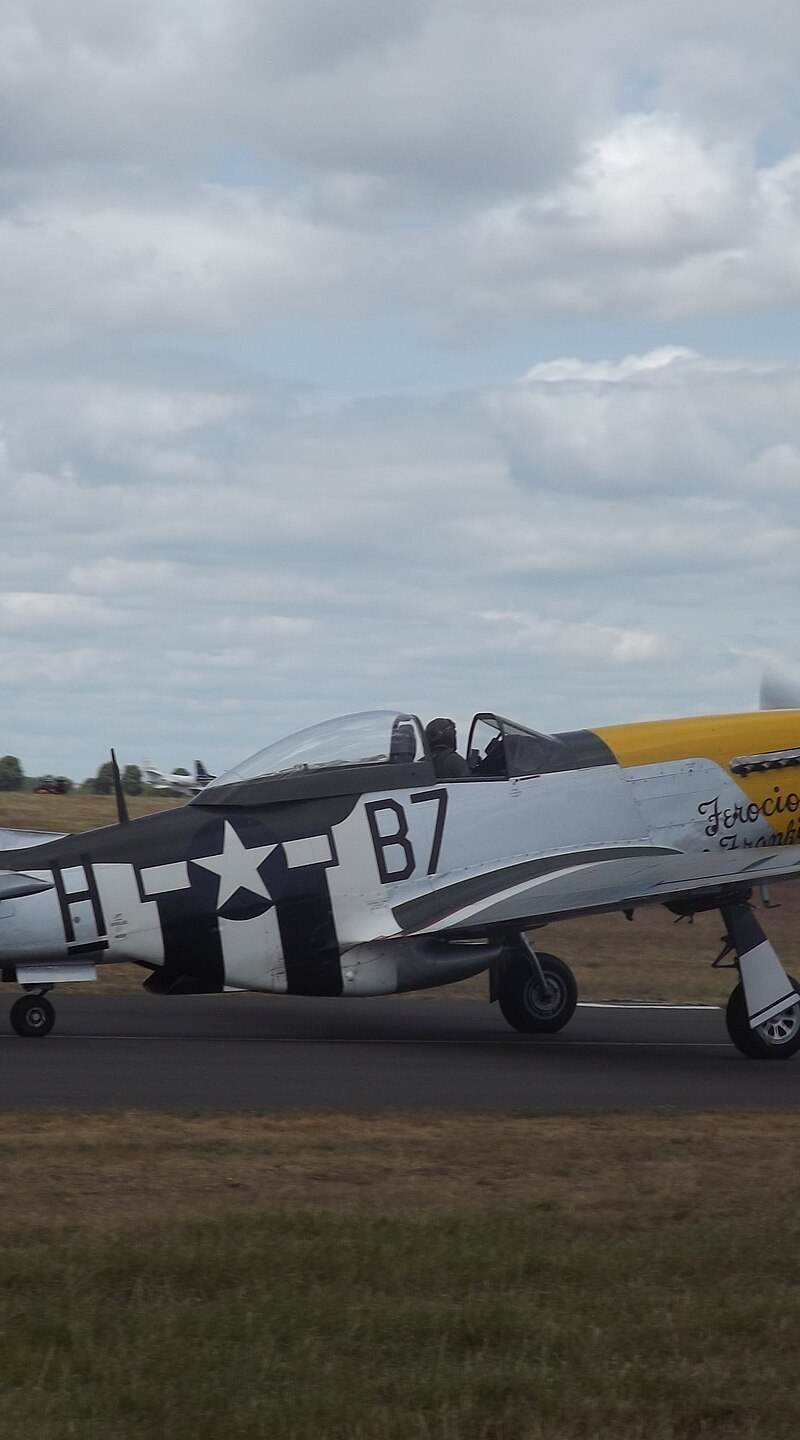  - Warbird